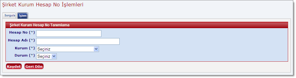 SirketKurumHesapNoTanimlaEkran